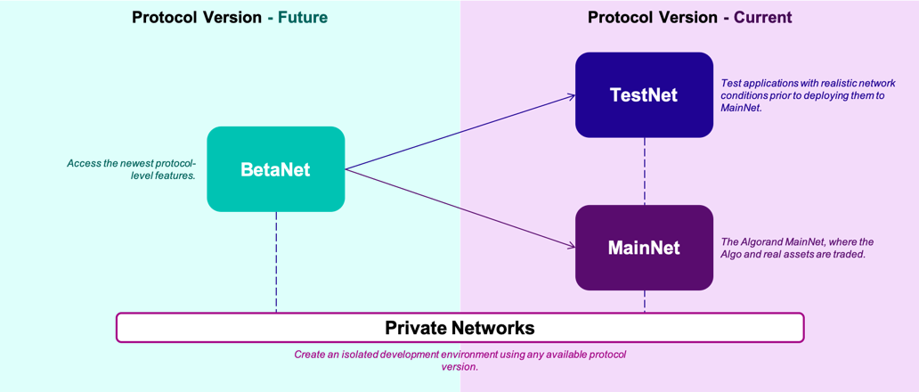 BetaNet, TestNet and MainNet