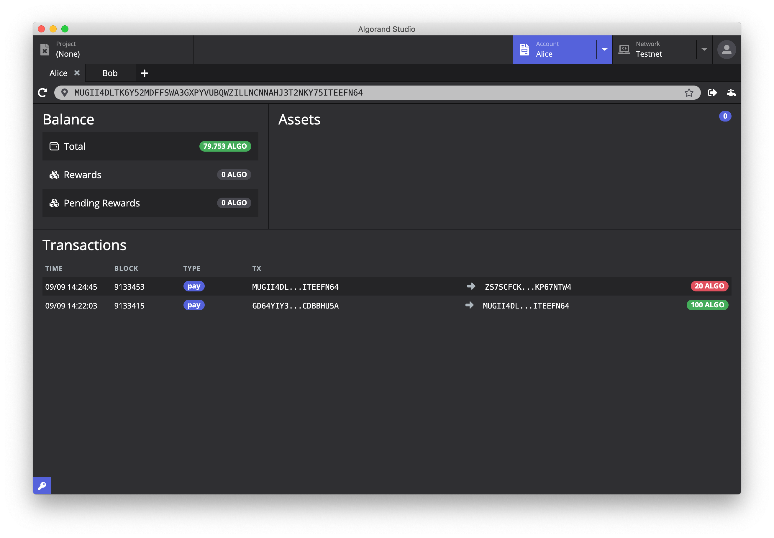 Algorand Studio | Tutorial 1: Basic Features | Algorand Developer Portal